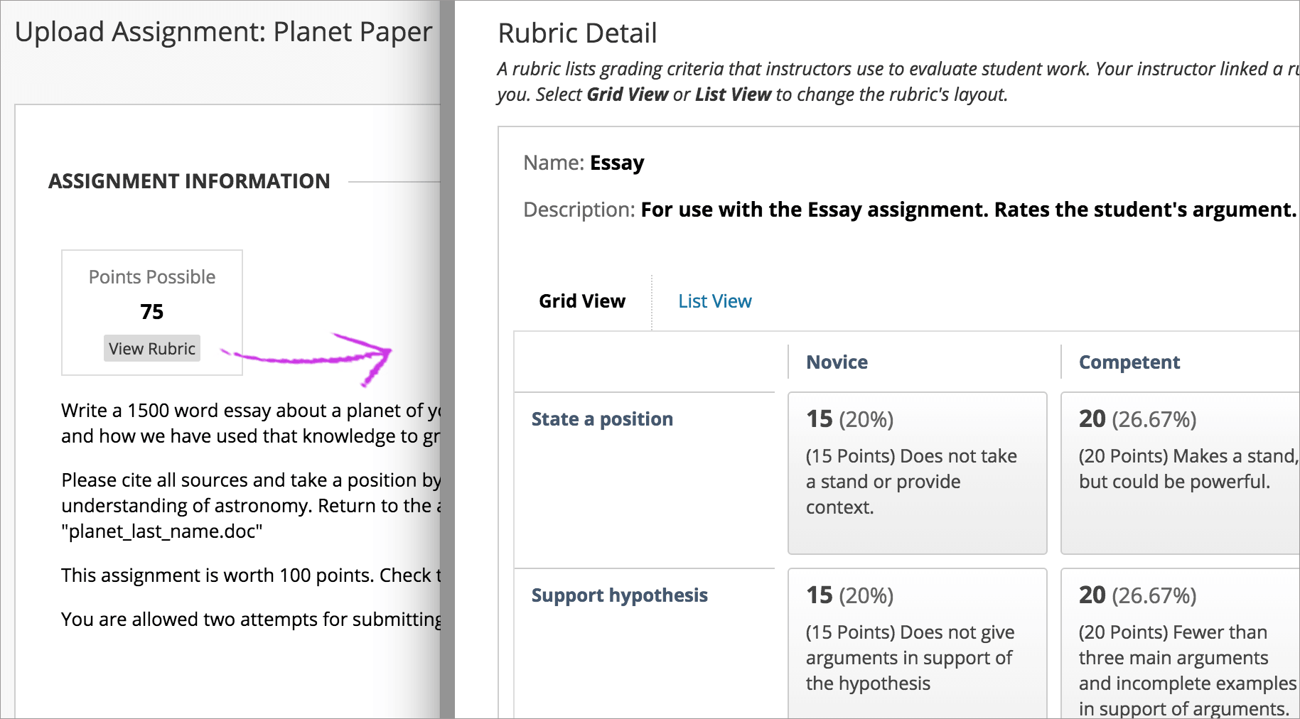 Sample rubric in blackboard